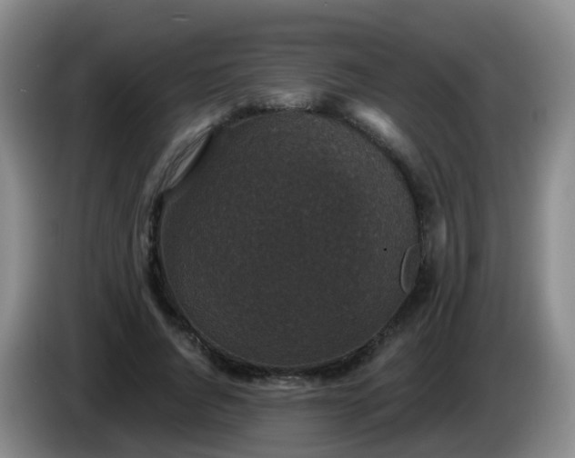 X0000085080736200703121702