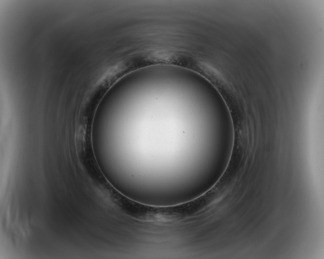 X0000085080739200703121703