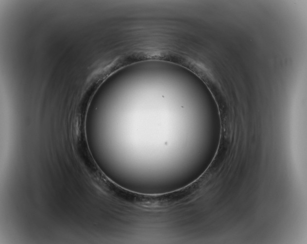 X0000085080740200703121703