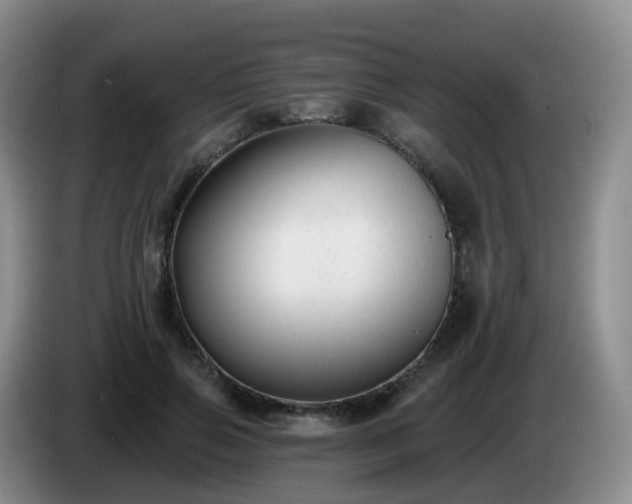 X0000085080741200703121703