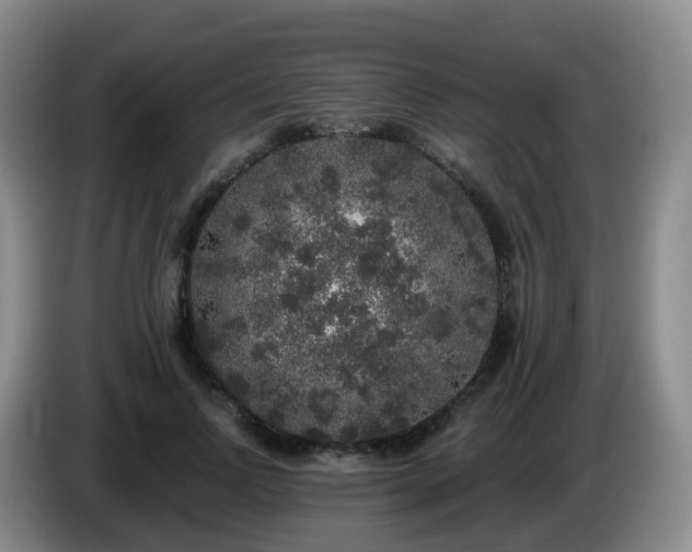 X0000085080742200703121703