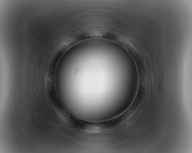 X0000085080743200703121703