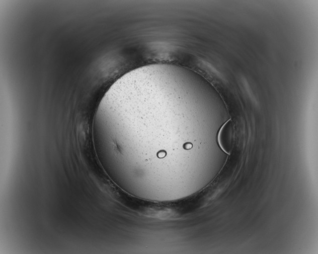 X0000085080747200703121703