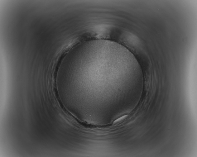 X0000085080748200703121703