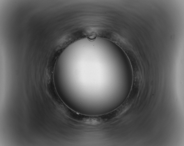 X0000085080751200703121703