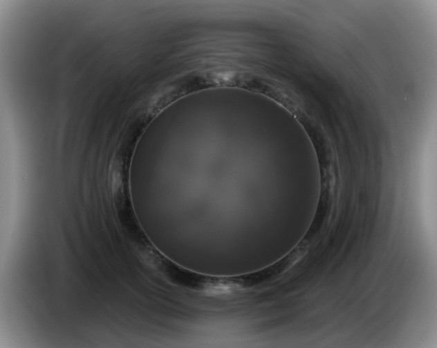 X0000085080754200703121703