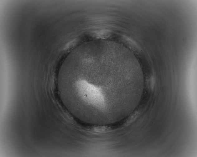 X0000085080757200703121703