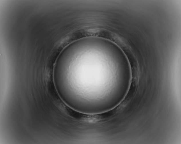 X0000085080758200703121703