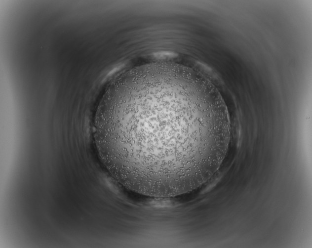 X0000085080762200703121703