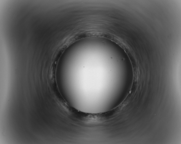 X0000085080764200703121703