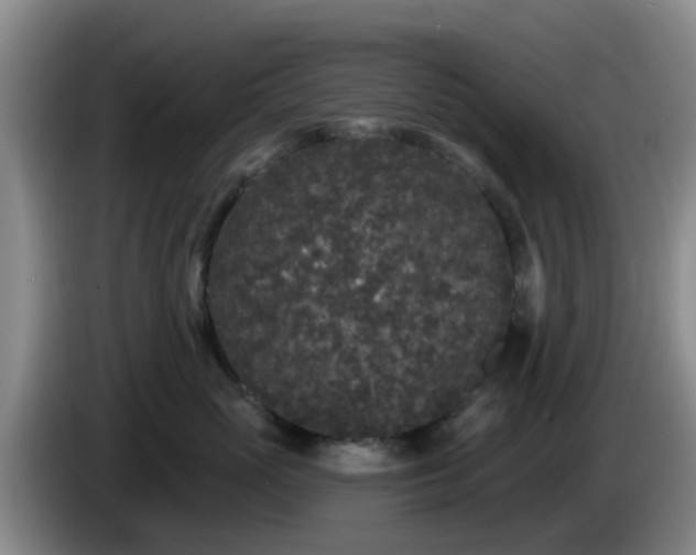 X0000085080765200703121703