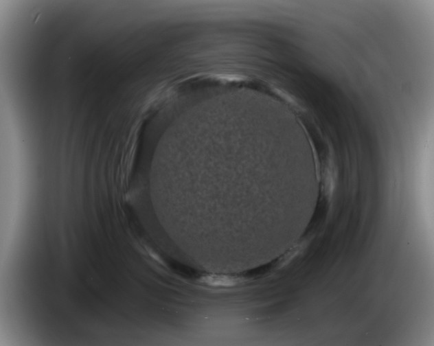 X0000085080766200703121703