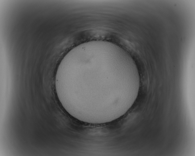 X0000085080769200703121702