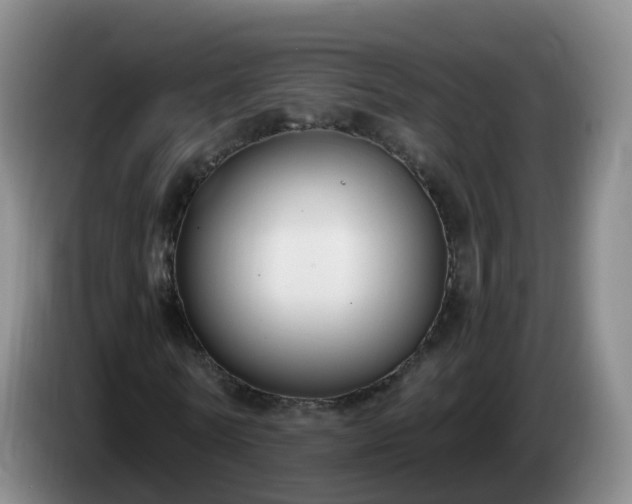 X0000085080770200703121702