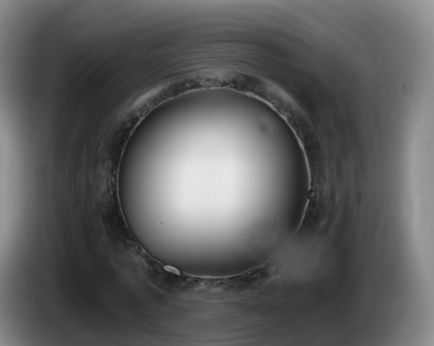 X0000085080773200703121702