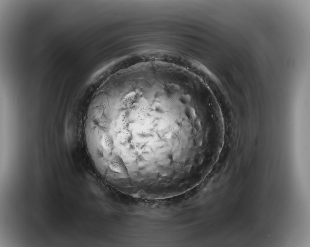 X0000085080775200703121702