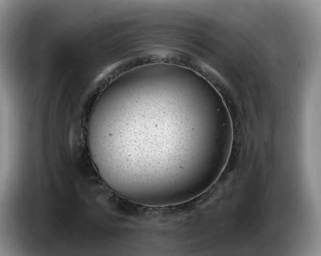 X0000085080776200703121702