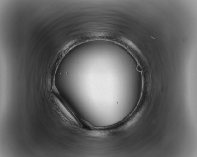 X0000085080777200703121702