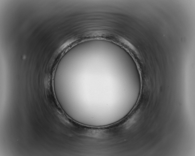 X0000085080778200703121702