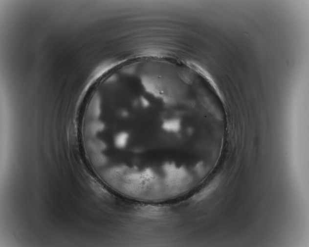 X0000085080779200703121702