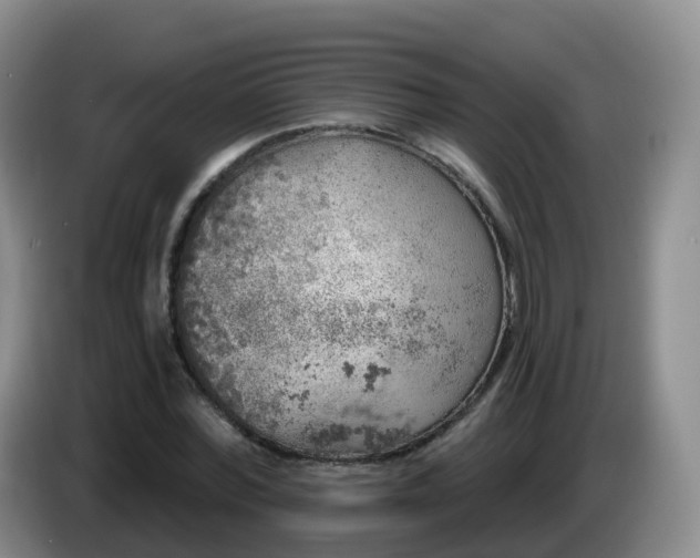 X0000085080780200703121702