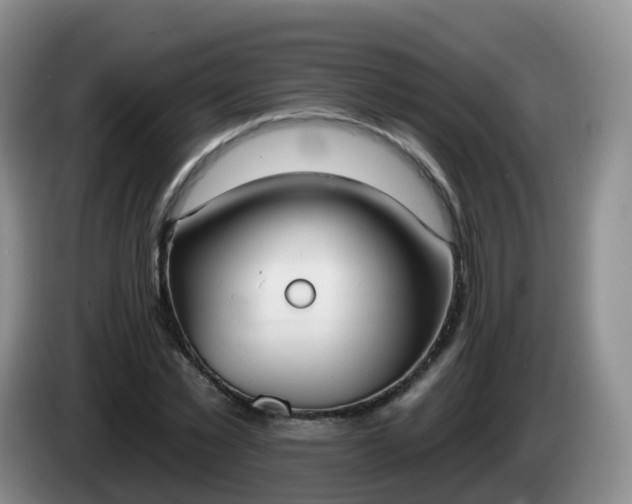 X0000085080781200703121702