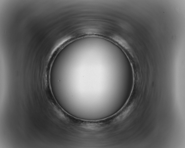 X0000085080782200703121702