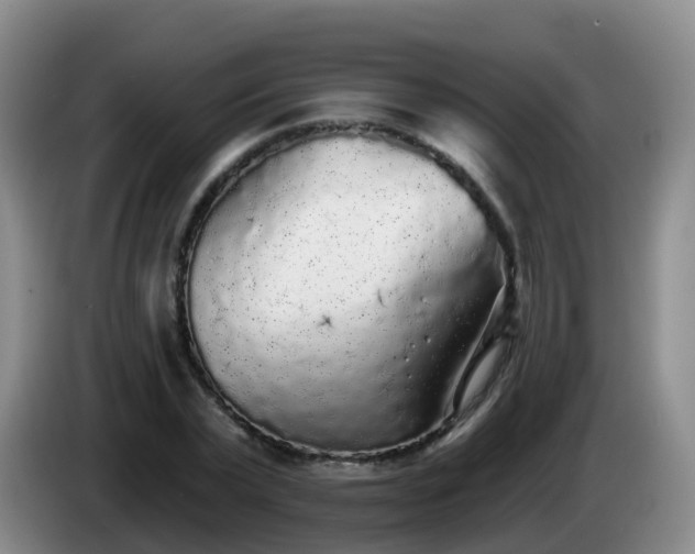 X0000085080783200703121702