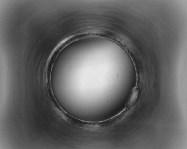 X0000085080784200703121702