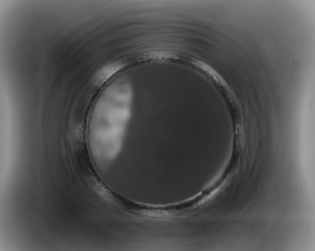 X0000085080785200703121702