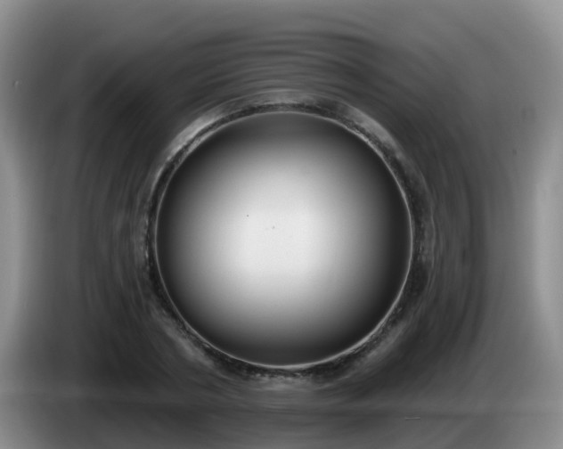 X0000085080786200703121702