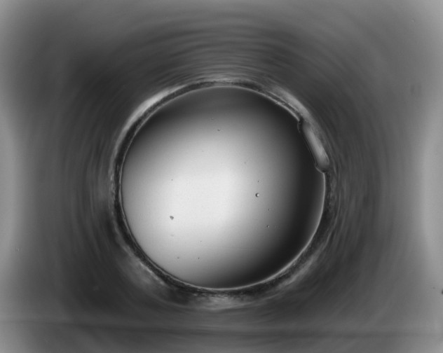 X0000085080787200703121702