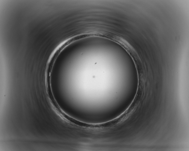 X0000085080788200703121702