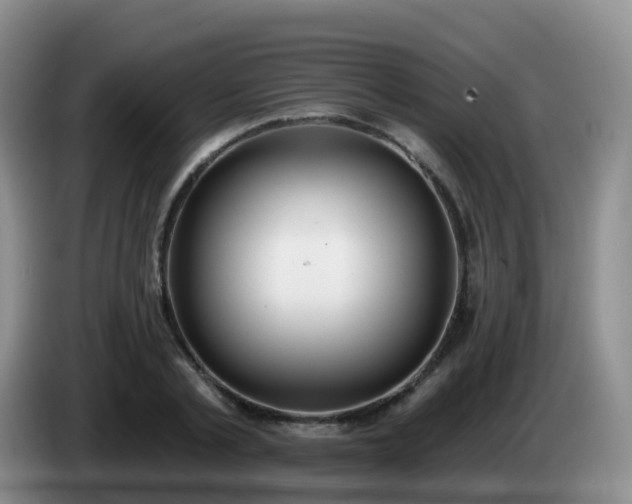 X0000085080789200703121702