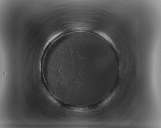 X0000085080790200703121702