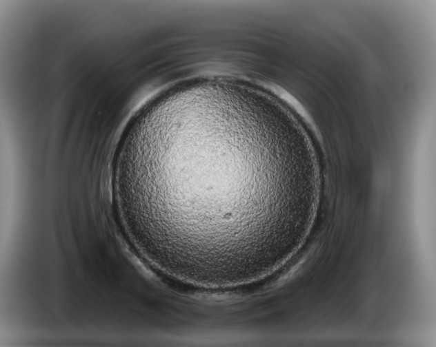 X0000085080791200703121702