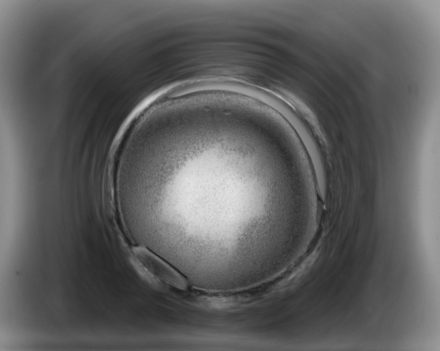 X0000085080792200703121702