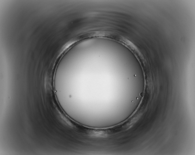 X0000085080794200703121702