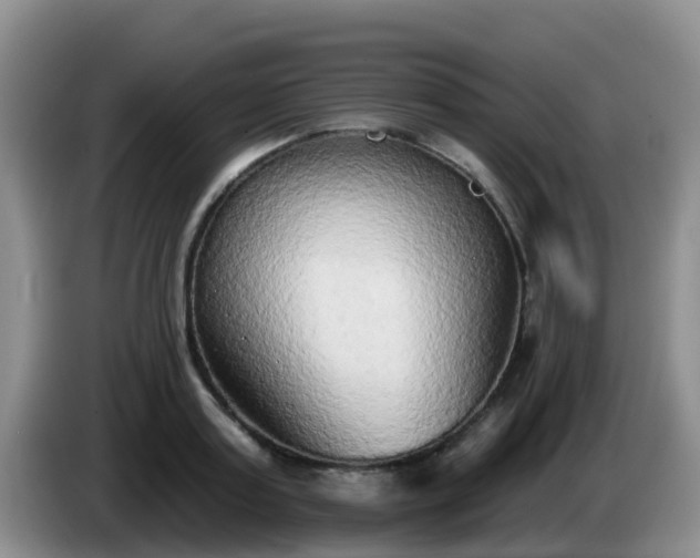 X0000085080795200703121702