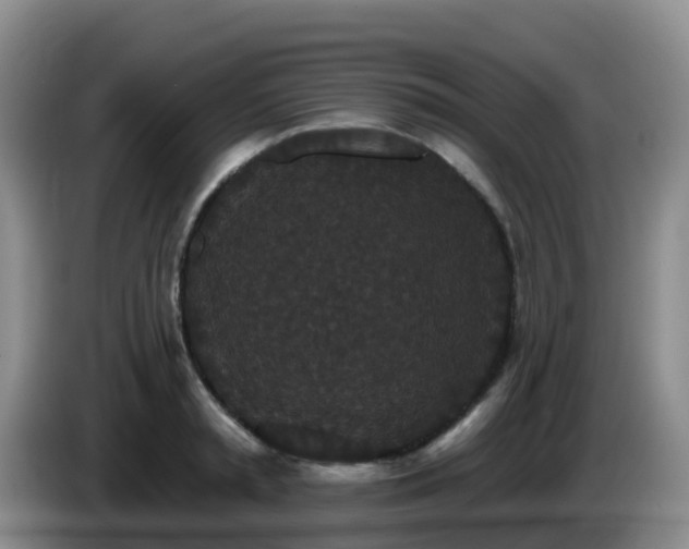 X0000085080797200703121702