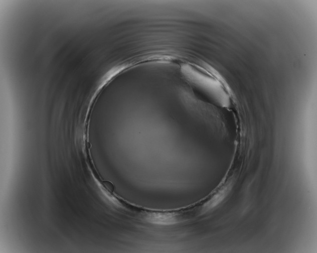 X0000085080802200703121702