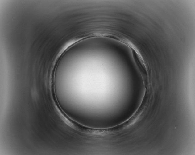 X0000085080803200703121702