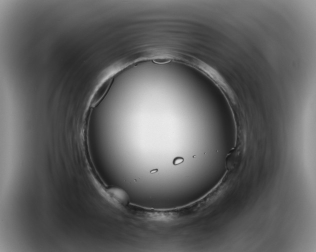 X0000085080805200703121702