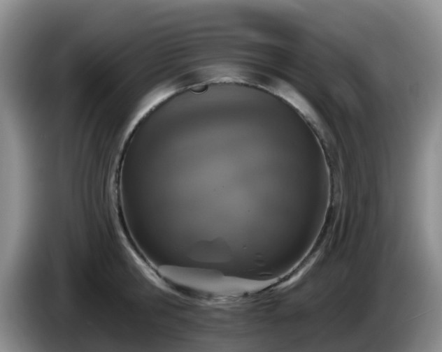 X0000085080806200703121702