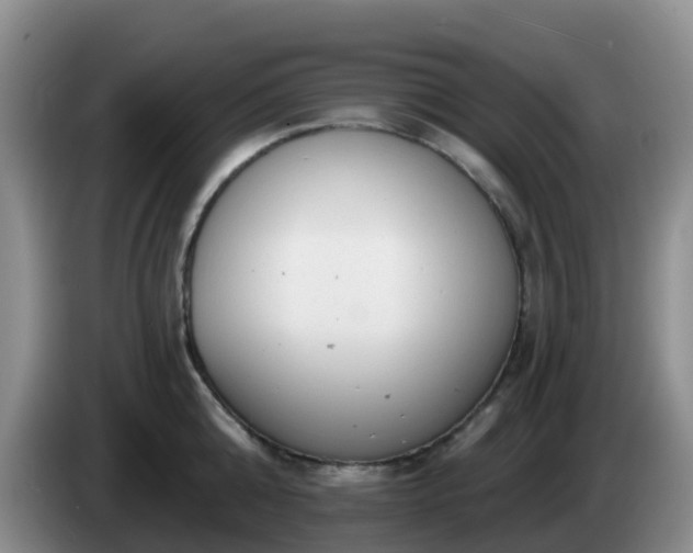 X0000085080808200703121702