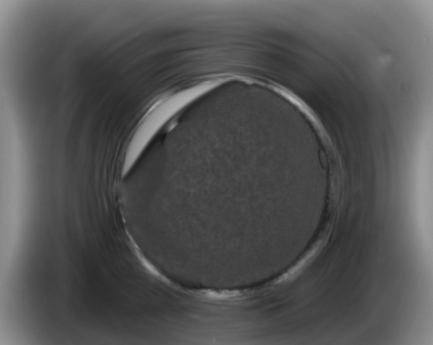 X0000085080809200703121702