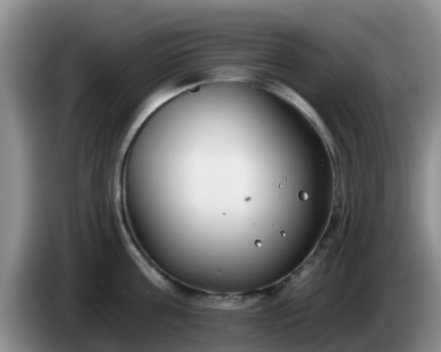 X0000085080811200703121702