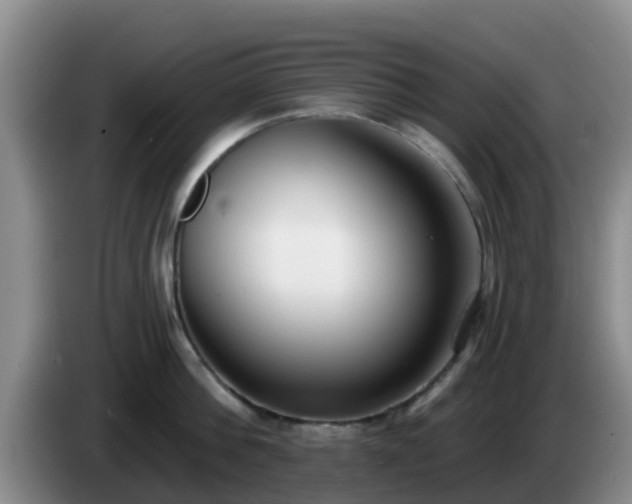 X0000085080812200703121702