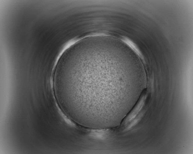 X0000085080813200703121702