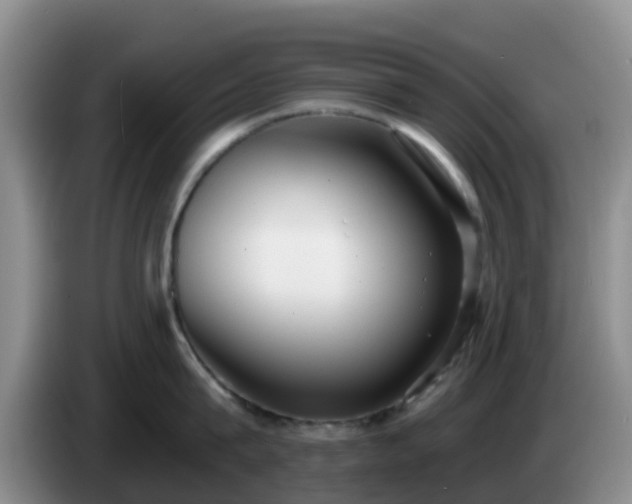 X0000085080815200703121702